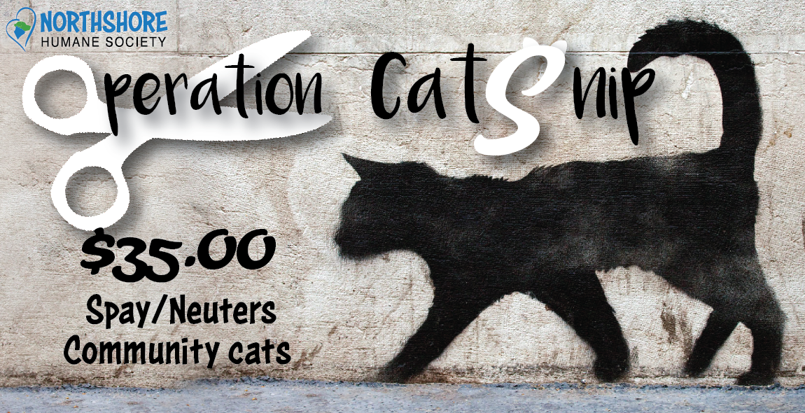 low_cost_spay_neuter