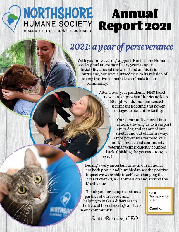 2021 annual report