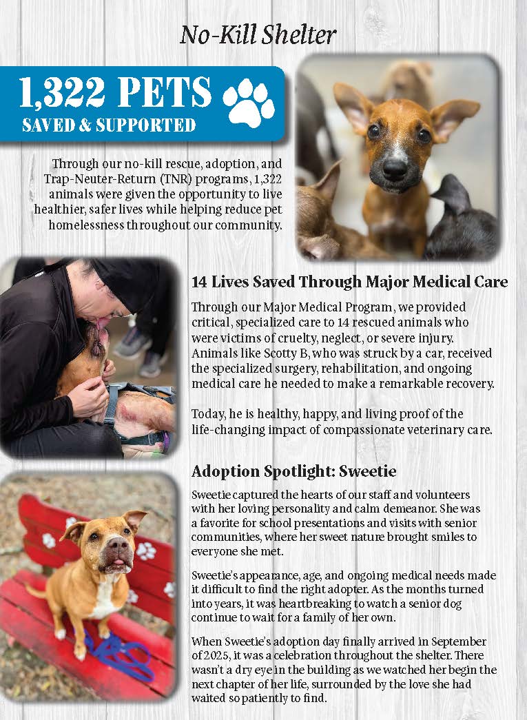 annual_report