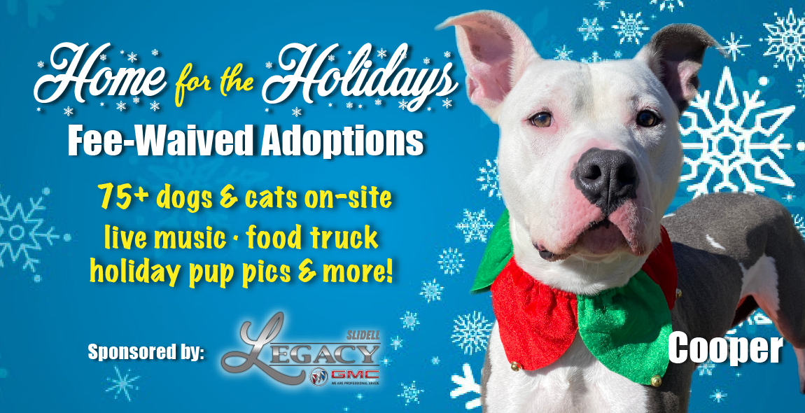 Home_for_Holidays_Adoption_Event