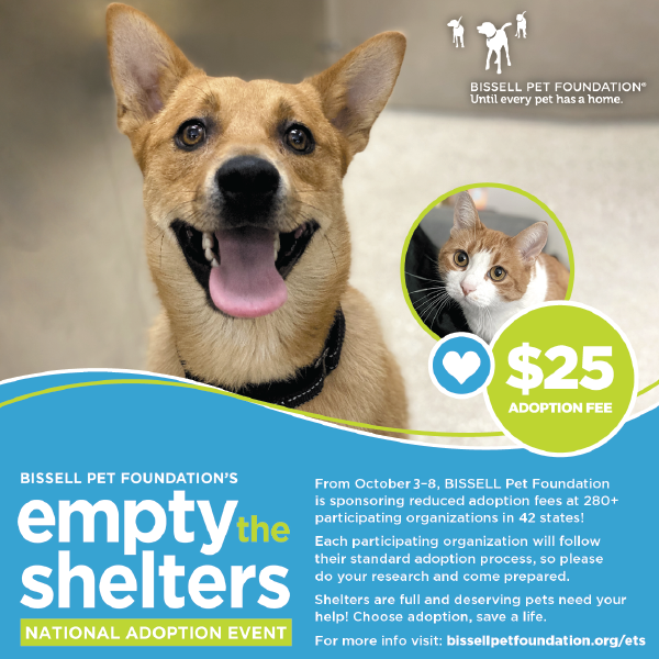 Emptytheshelters