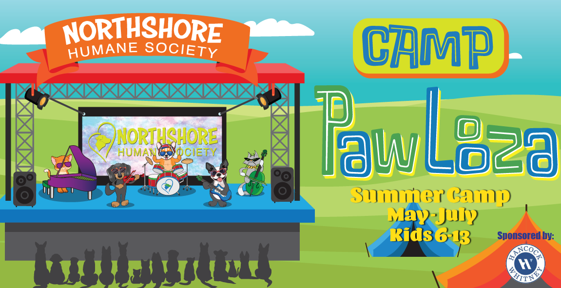 Summer_Camp_humane_society