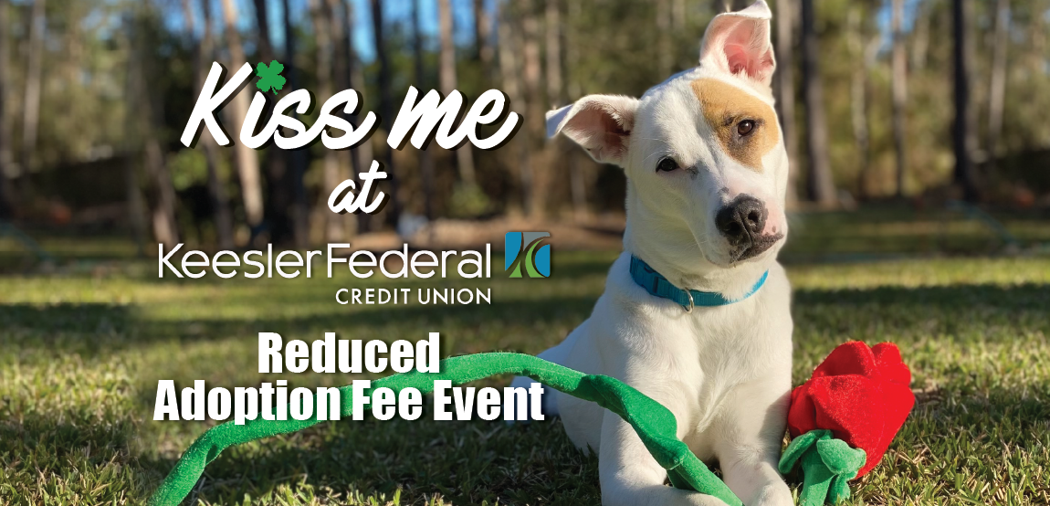 reduced_adoptions_keesler