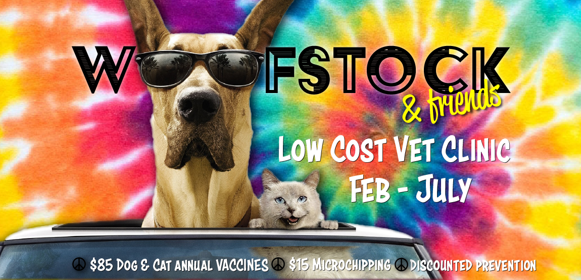 Woofstock Low-Cost Clinic | Northshore Humane Society