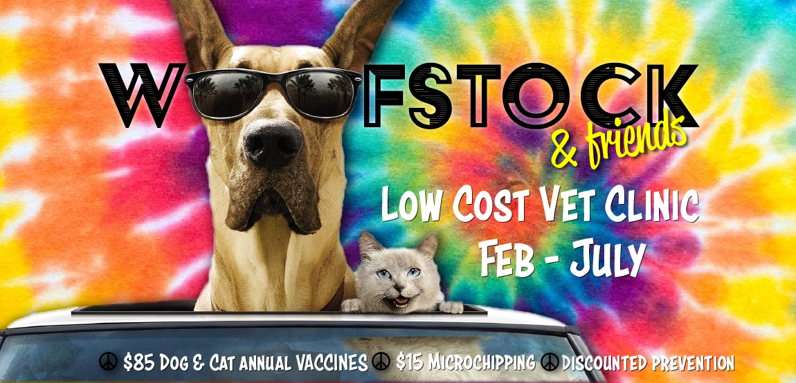 Woofstock Low-Cost Clinic | Northshore Humane Society Woofstock Low-Cost Clinic | Northshore Humane Society