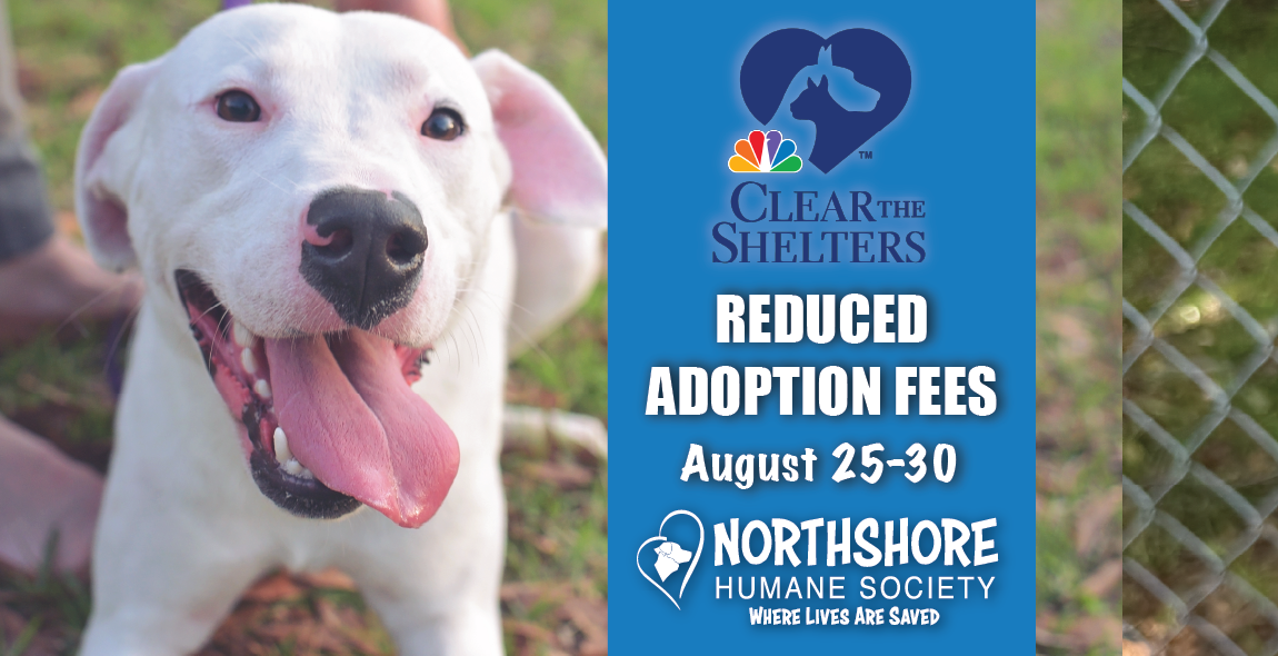 Clear the Shelters