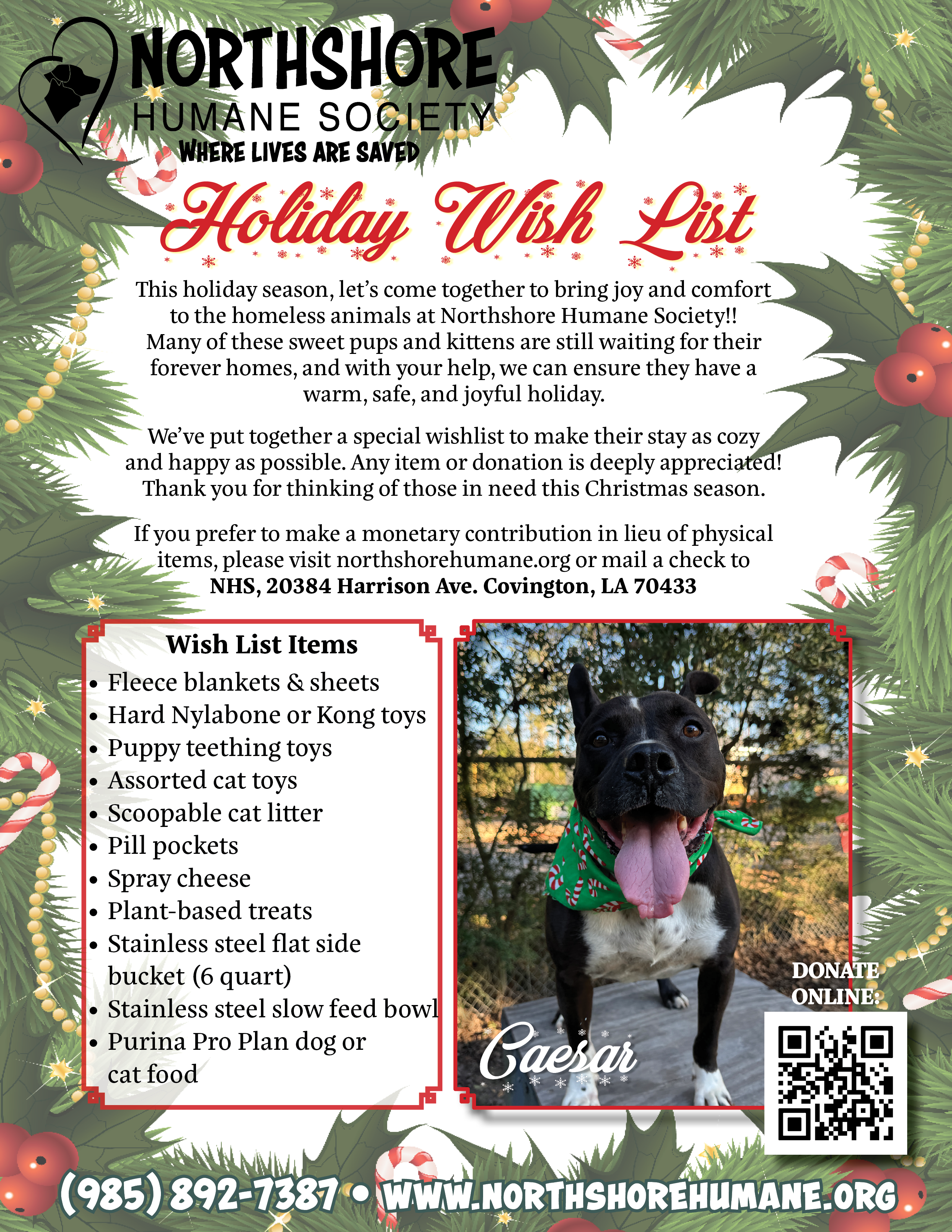 wish_list_christmas_humane_society
