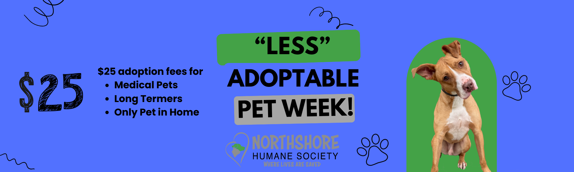 Less Adoptable Pet Week