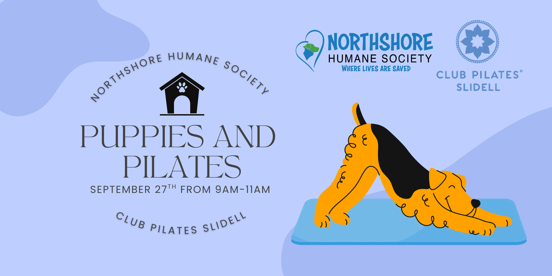 Puppies and Pilates