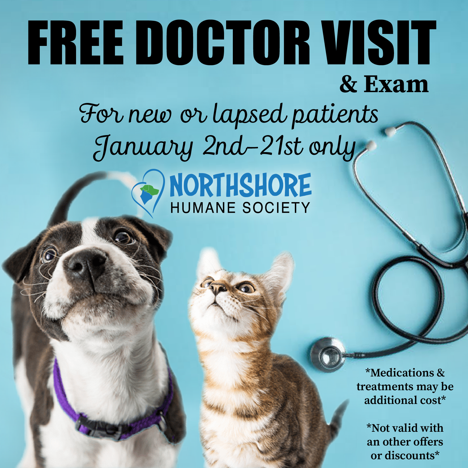 vet_clinic_special