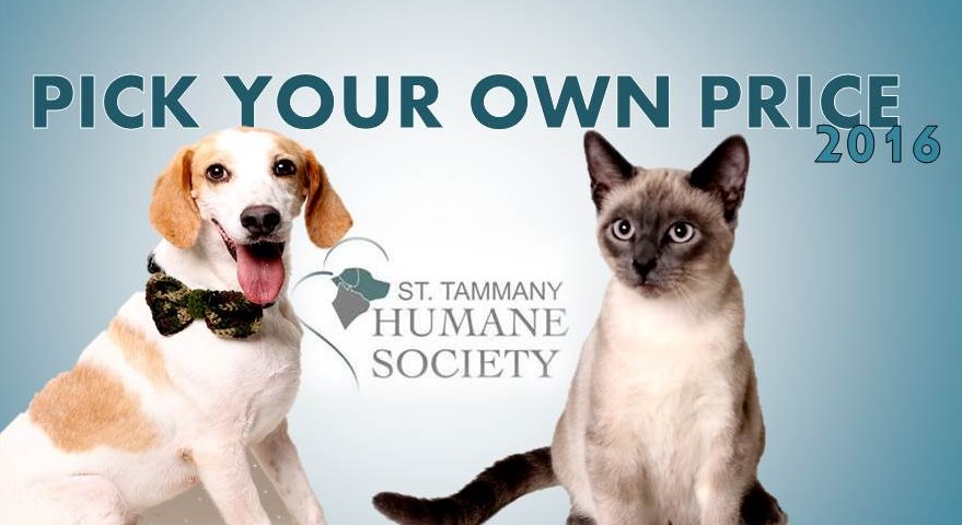 humane_society_adoption_special