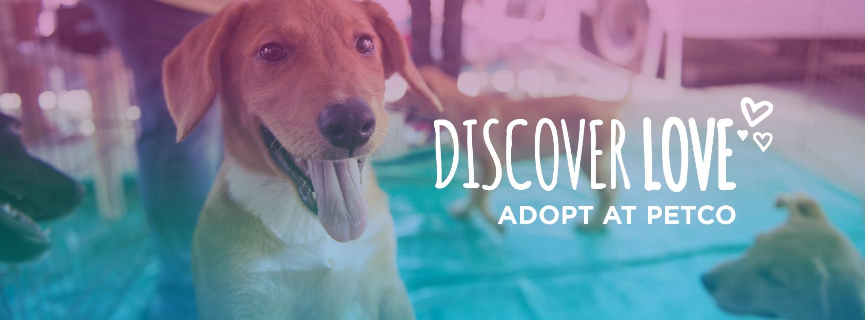 Petco_adoption_event