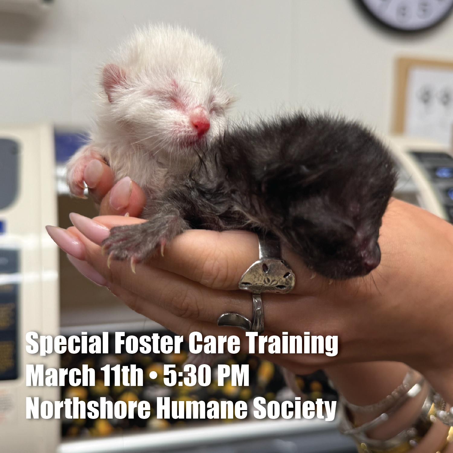 Special_foster_care_training