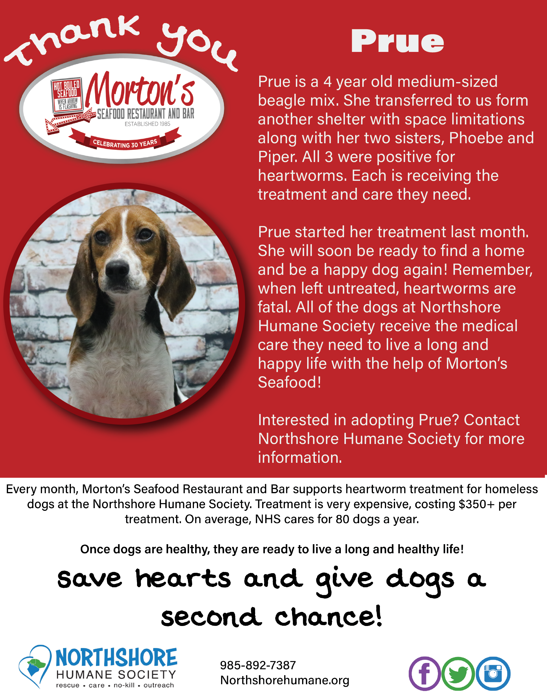 Melarsomine Injection Heartworm Positive Dog Treatment Cost