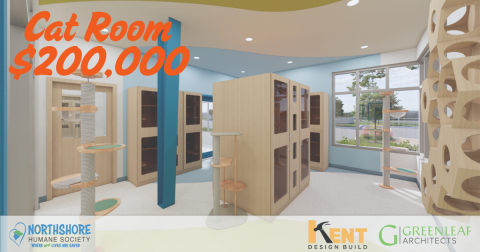 Cat Room Naming Rights