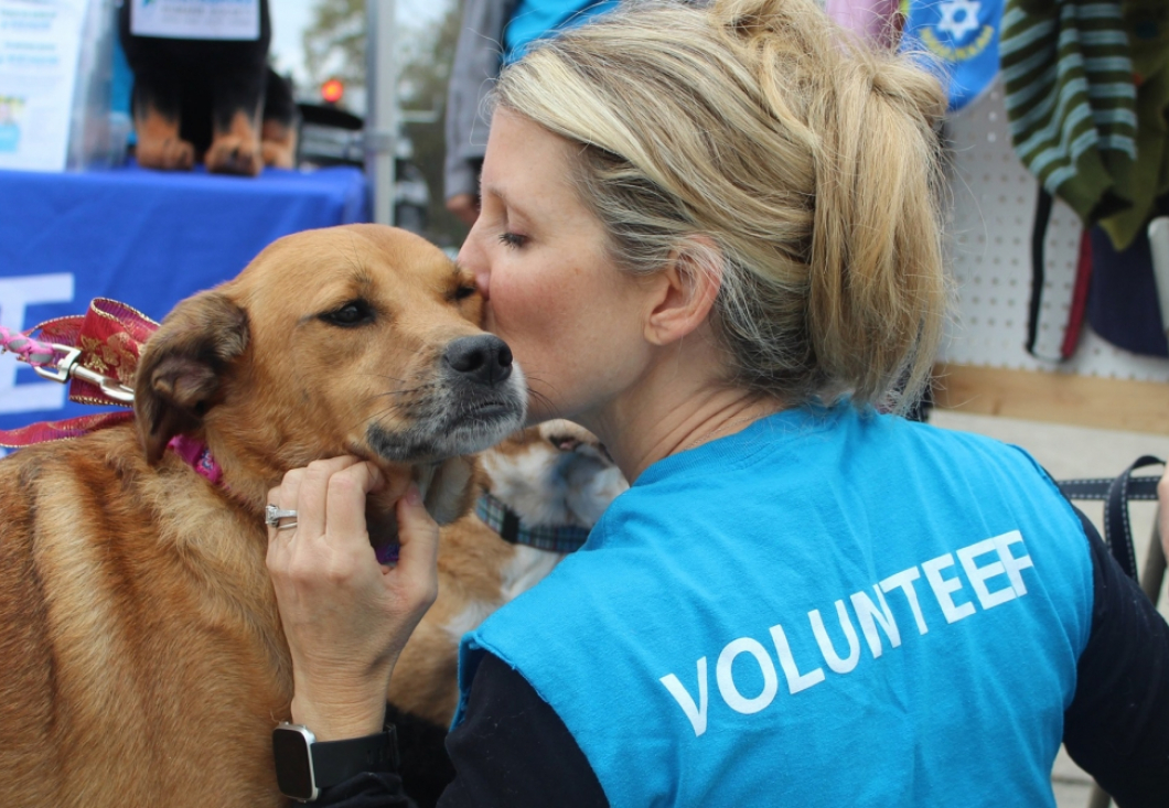 Northshore Humane Society Northshore Humane Society